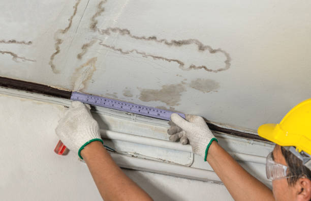 Affordable Water Damage Repair solutions in La Monte, MO